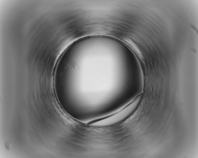 X0000093501340200710261130