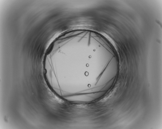 X0000093501341200710261130