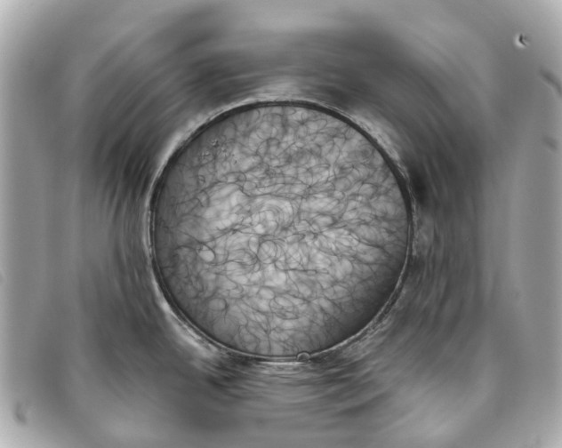 X0000093501342200710261130