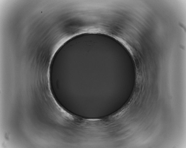 X0000093501343200710261130