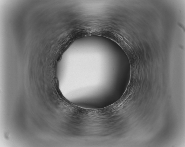 X0000093501345200710261130
