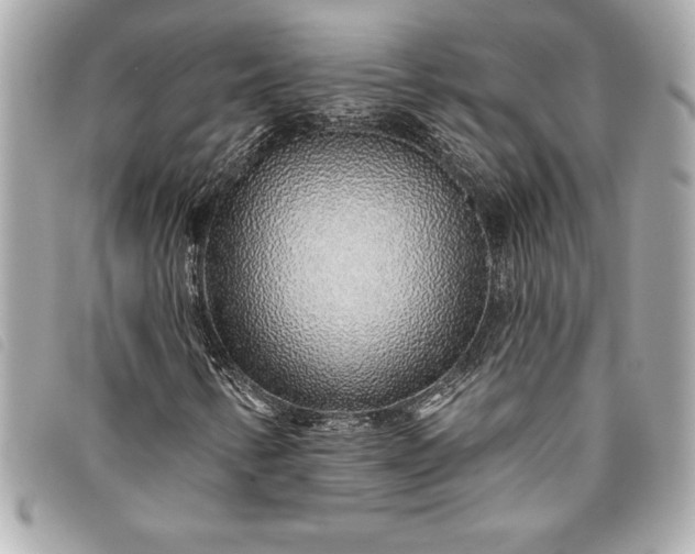 X0000093501346200710261130