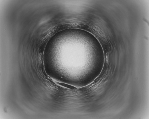 X0000093501347200710261130