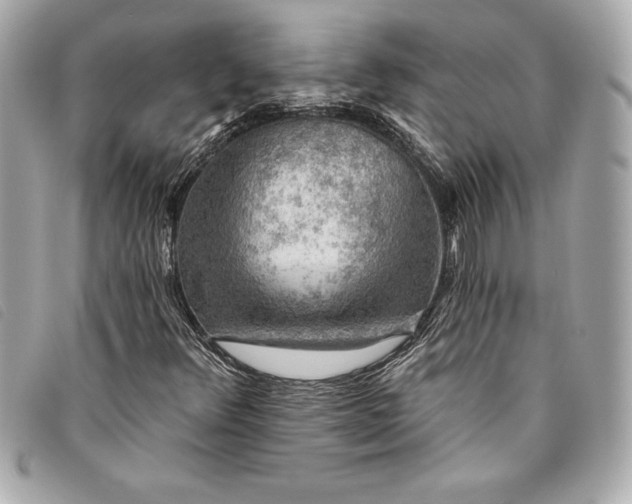 X0000093501348200710261130
