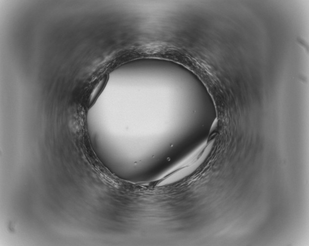 X0000093501349200710261130