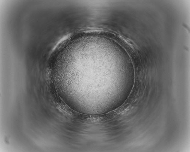 X0000093501351200710261130