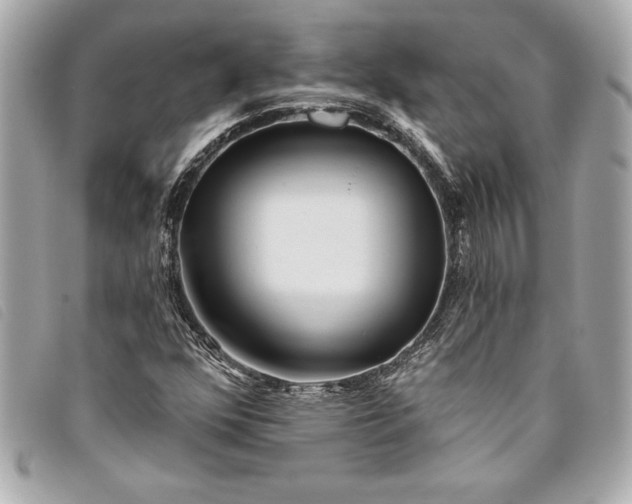 X0000093501352200710261130