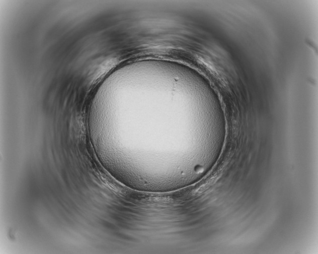 X0000093501354200710261130