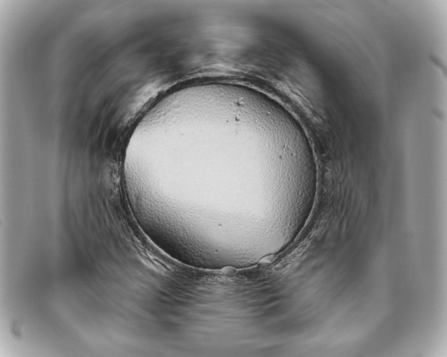 X0000093501355200710261130