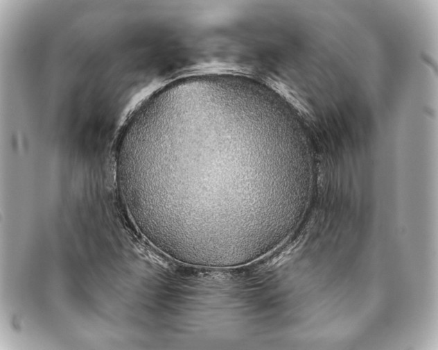 X0000093501358200710261130
