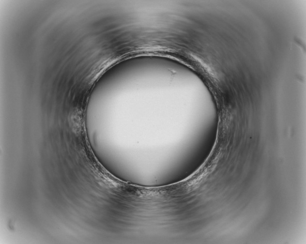 X0000093501361200710261130