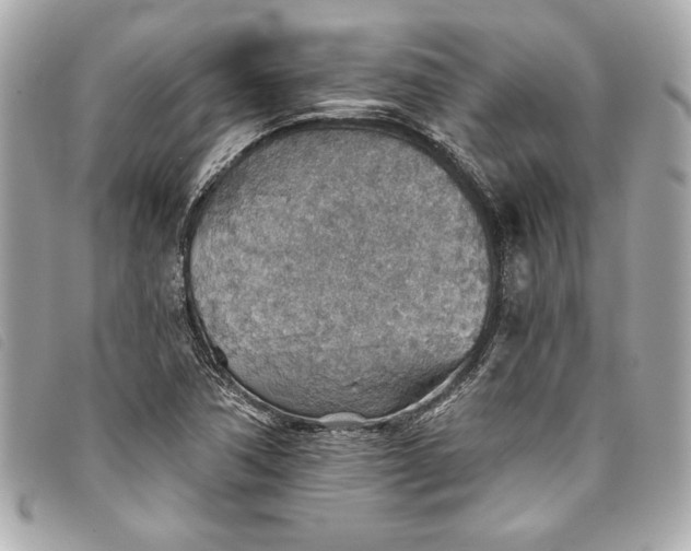 X0000093501362200710261130