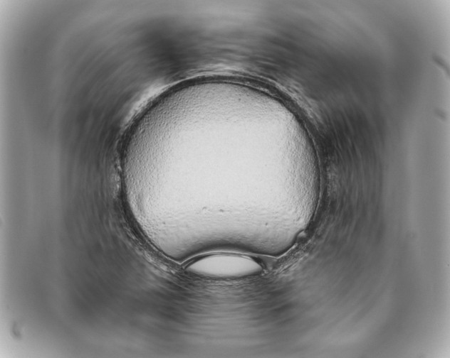 X0000093501363200710261130