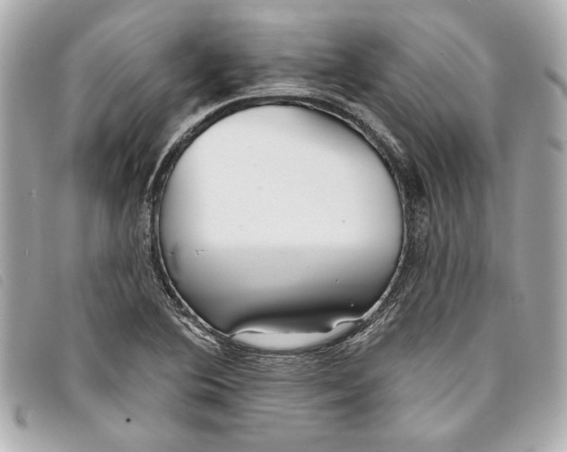 X0000093501364200710261130
