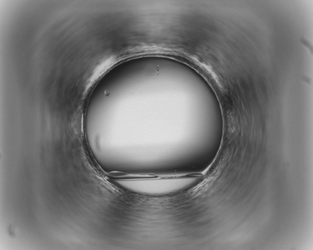 X0000093501365200710261130