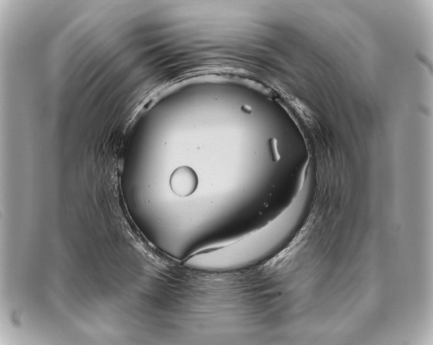 X0000093501369200710261129