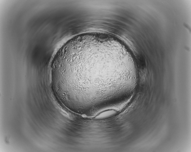 X0000093501371200710261129