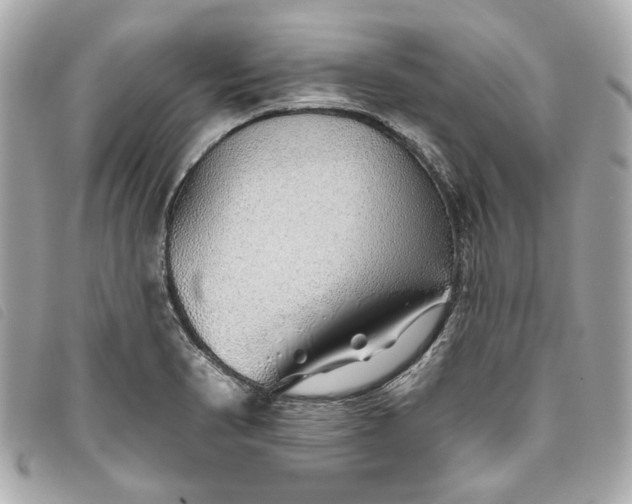 X0000093501374200710261129