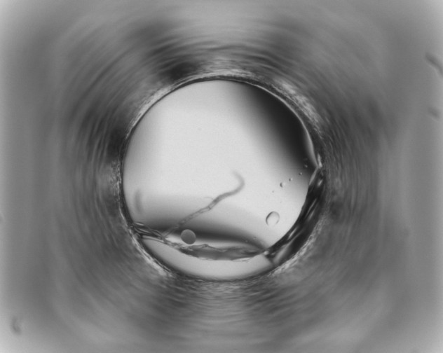 X0000093501377200710261129