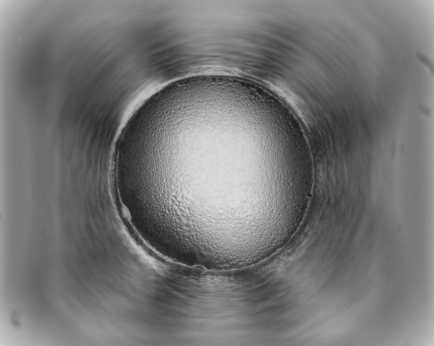 X0000093501379200710261129