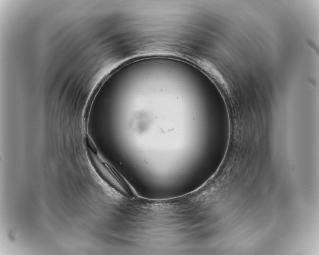 X0000093501380200710261129