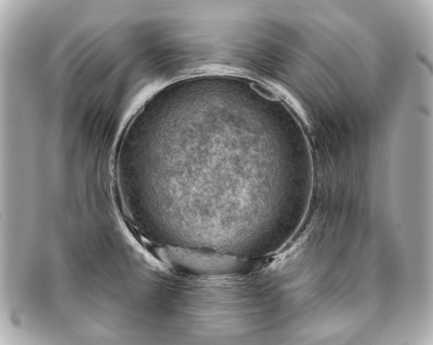 X0000093501381200710261129