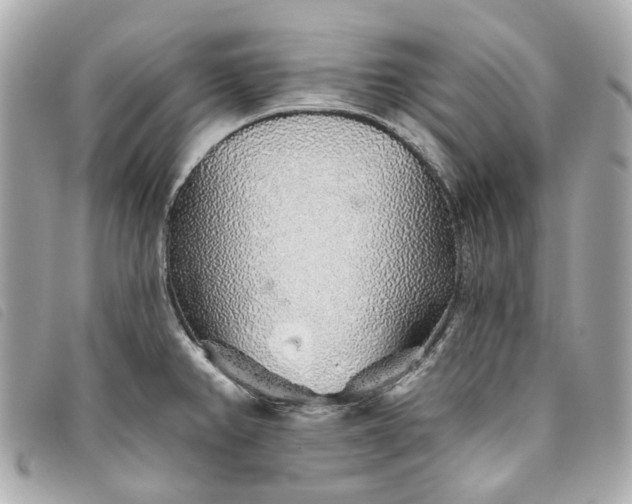 X0000093501382200710261129