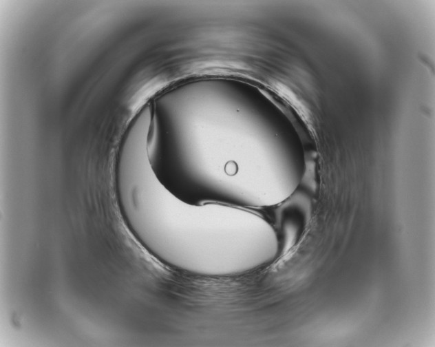 X0000093501384200710261129