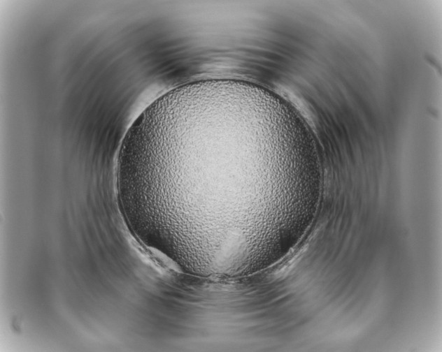 X0000093501386200710261129