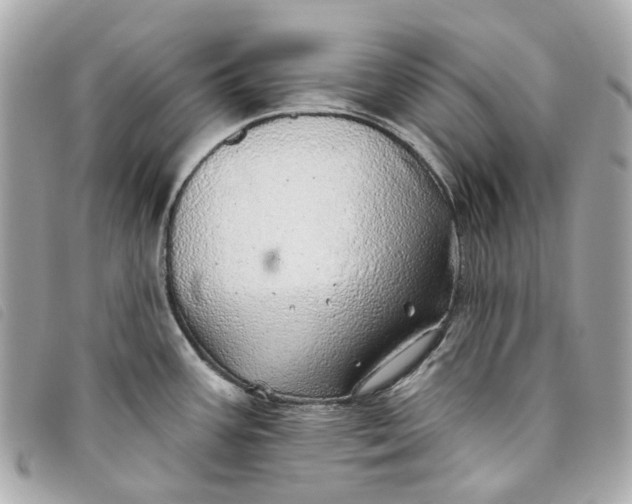 X0000093501387200710261129