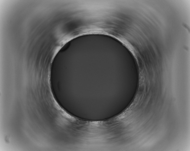 X0000093501390200710261129