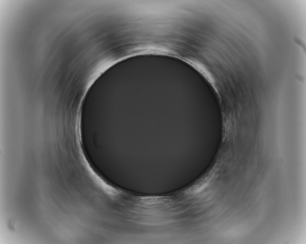 X0000093501391200710261129