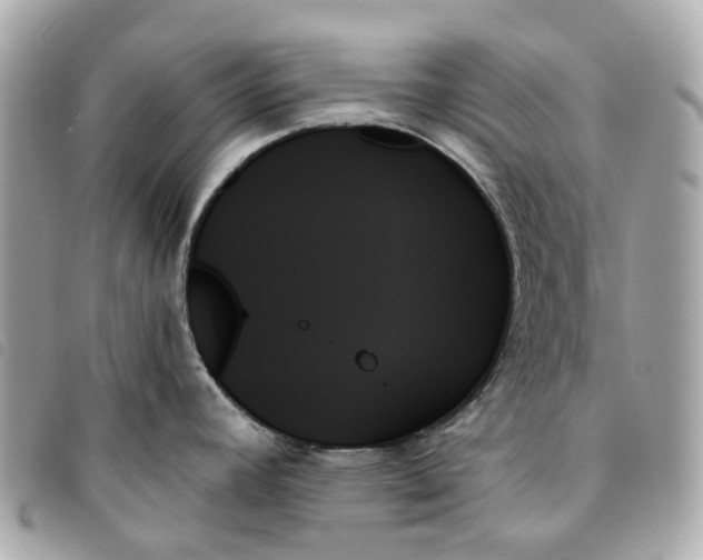 X0000093501392200710261129