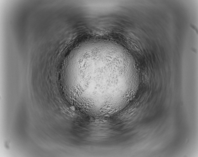 X0000093501393200710261129