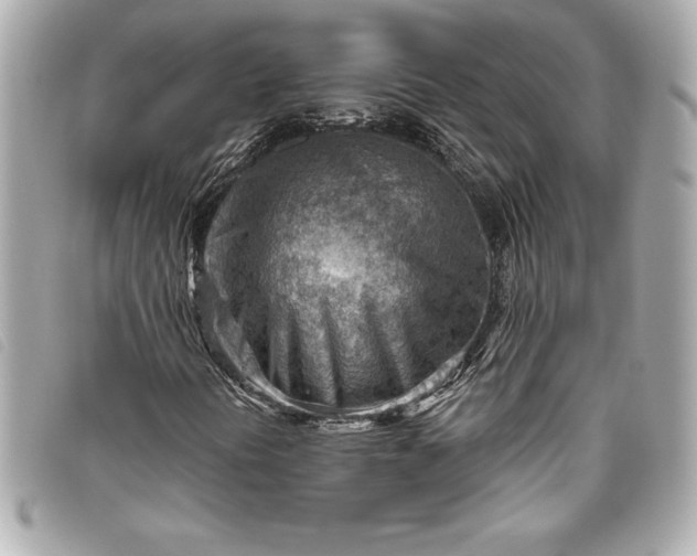 X0000093501394200710261129