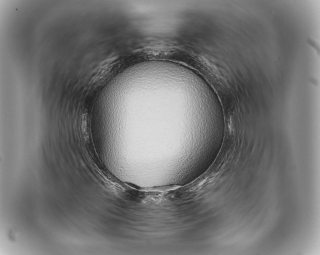 X0000093501396200710261129