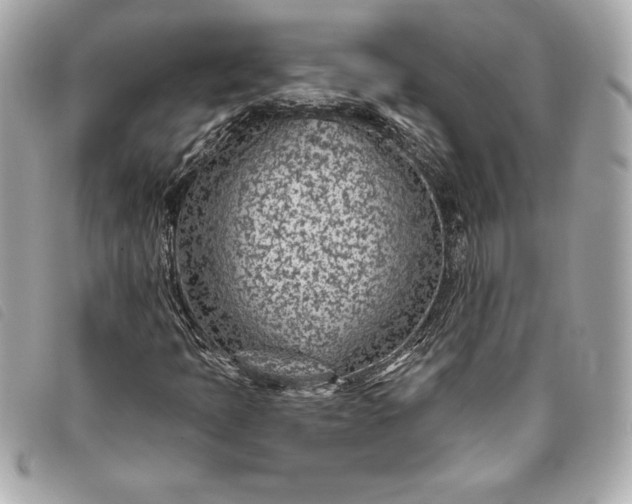 X0000093501397200710261129