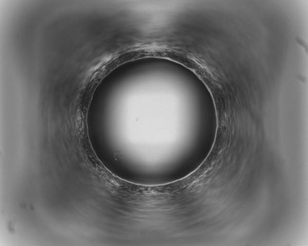 X0000093501398200710261129