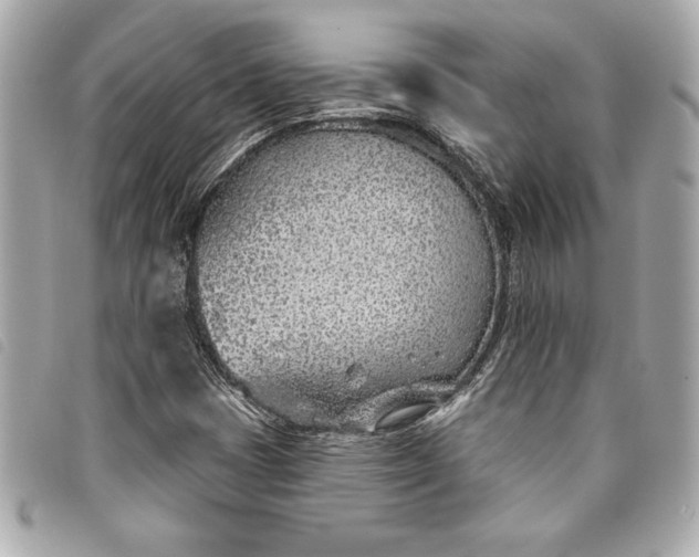 X0000093501401200710261129