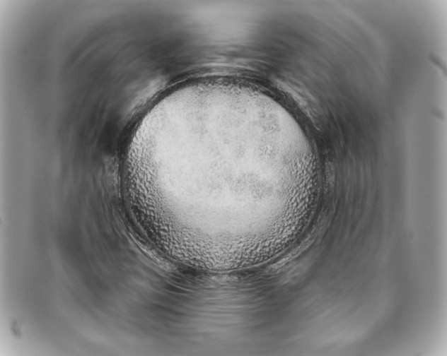 X0000093501403200710261129