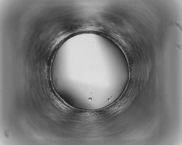 X0000093501404200710261129