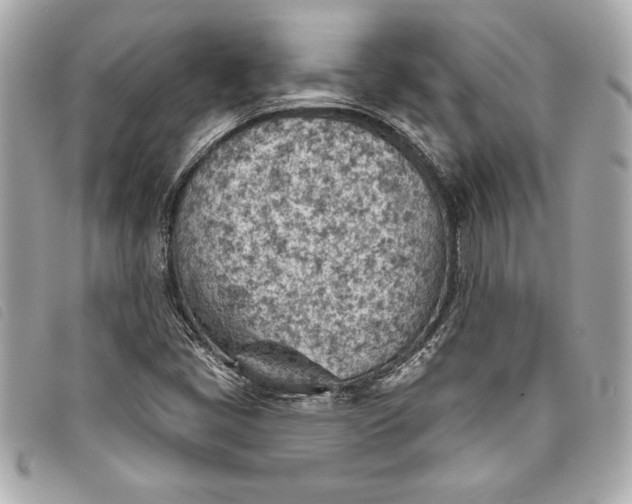 X0000093501405200710261129