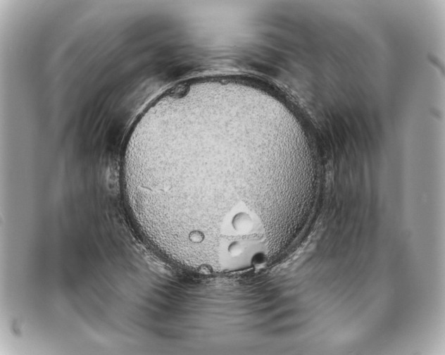 X0000093501409200710261129