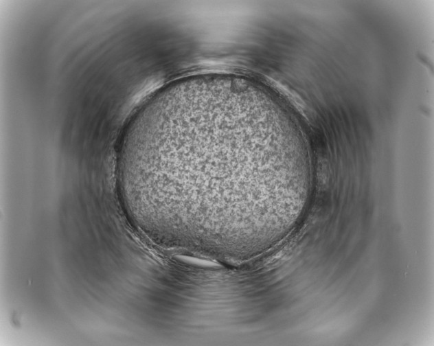 X0000093501411200710261129
