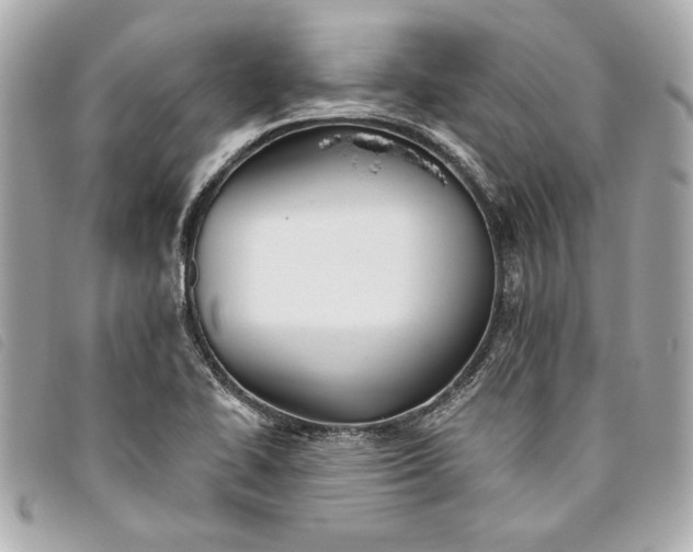 X0000093501414200710261129