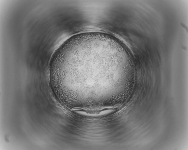 X0000093501415200710261129