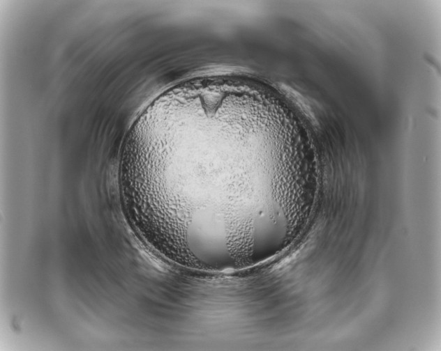 X0000093501417200710261129