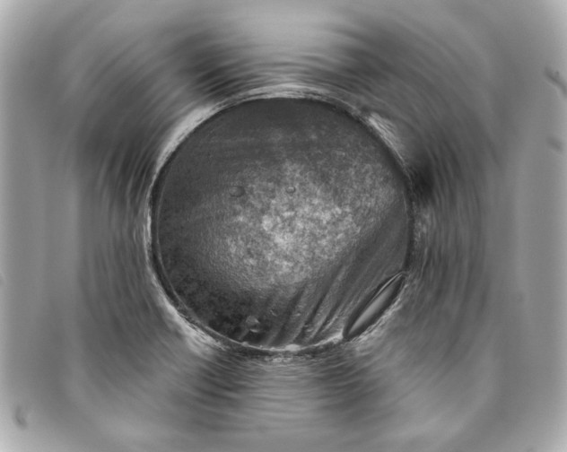 X0000093501418200710261129