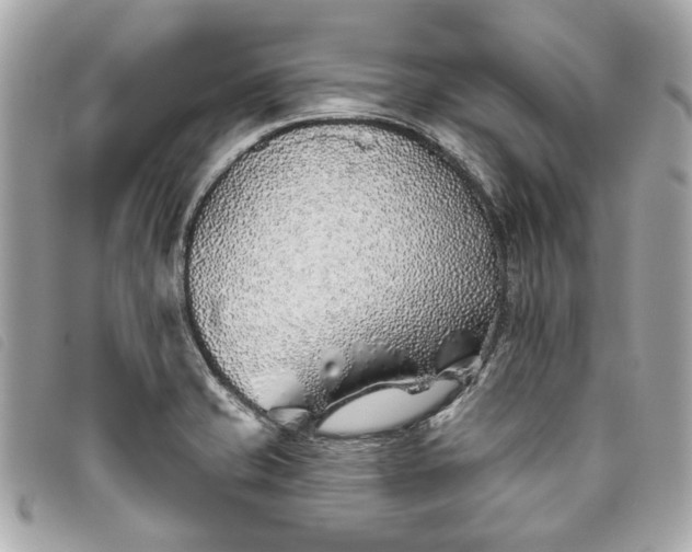 X0000093501421200710261129