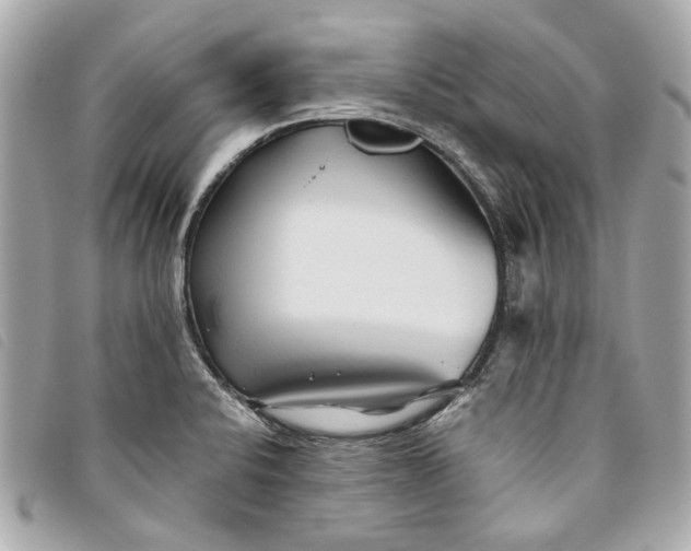 X0000093501424200710261129